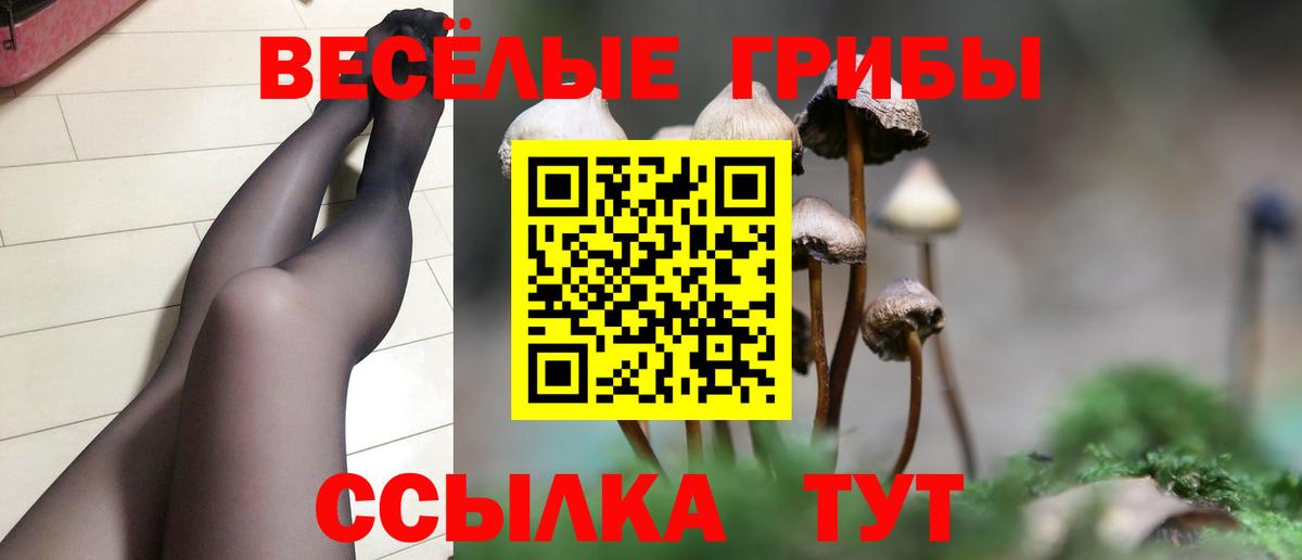 Серов  Галлюциногенные грибы MAGIC MUSHROOMS  Вход с VPN 